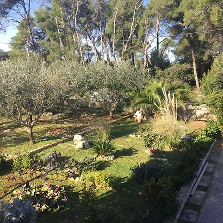 Geraeumige Mit Schoenem Garten